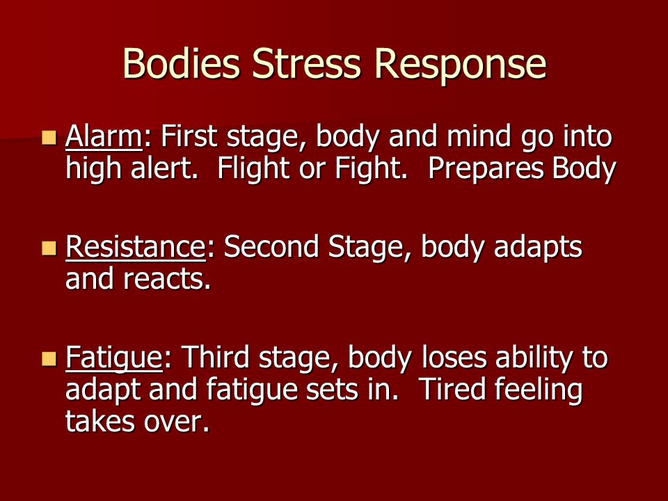 Bodies Stress Response