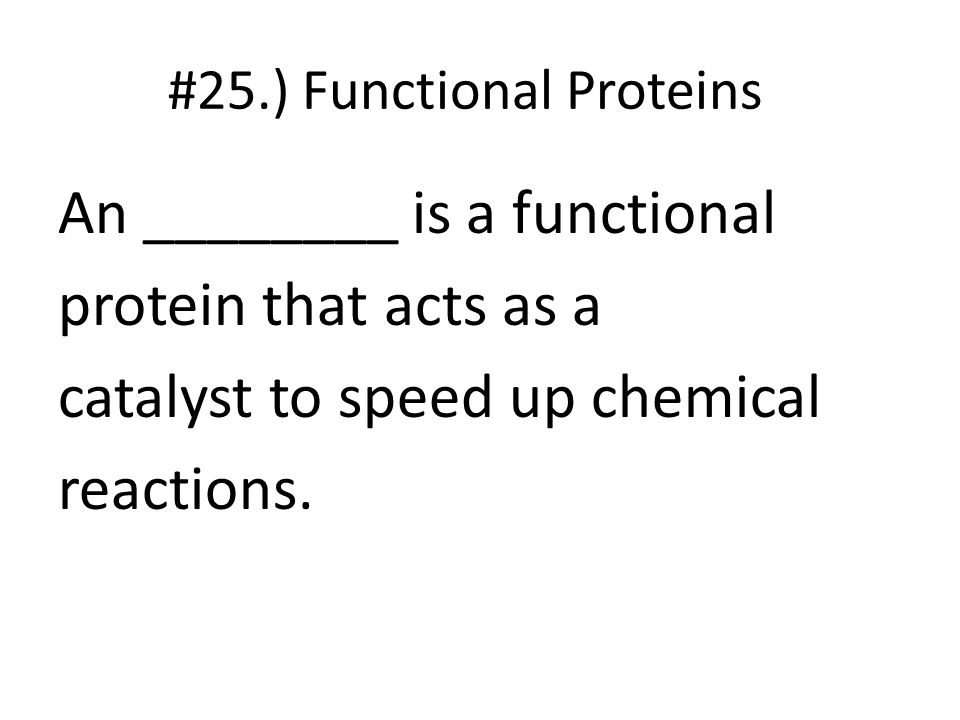 #25.) Functional Proteins