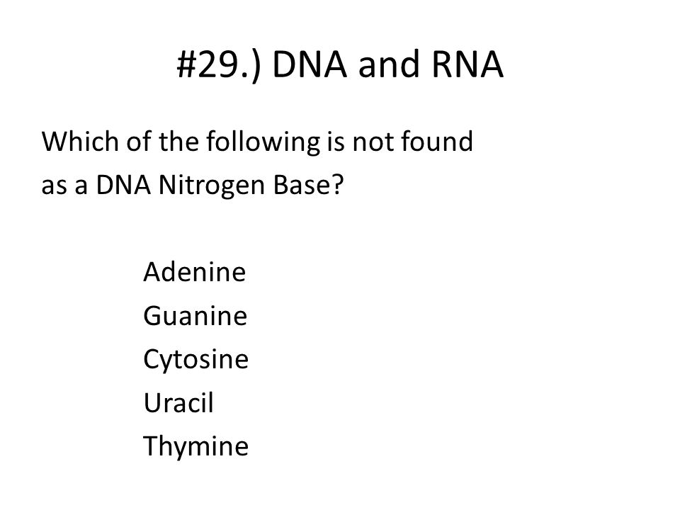 #29.) DNA and RNA Which of the following is not found as a DNA Nitrogen Base.
