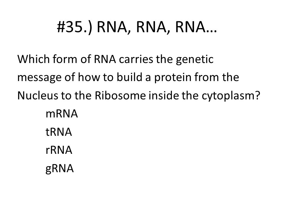 #35.) RNA, RNA, RNA…