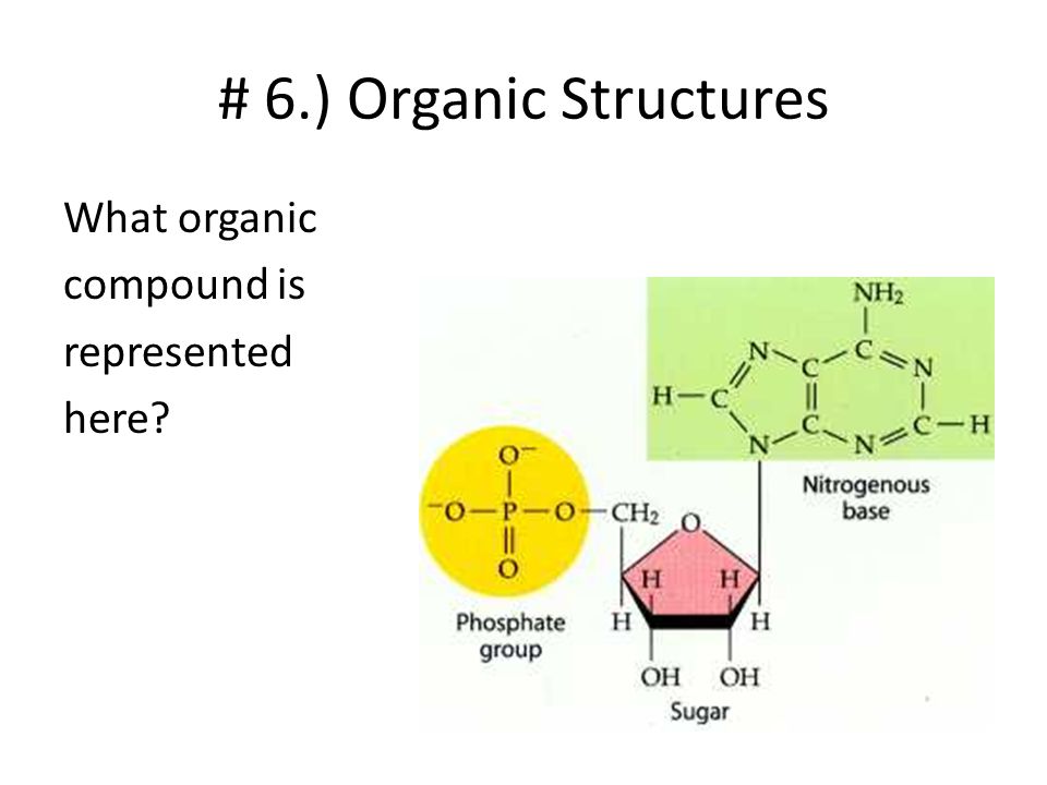 # 6.) Organic Structures What organic compound is represented here