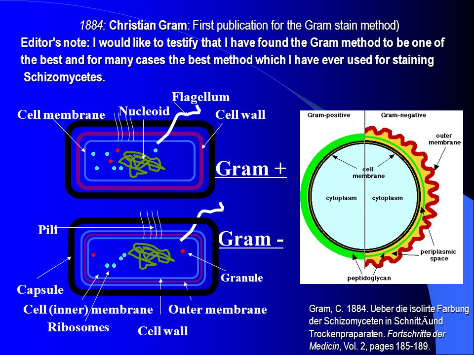 1884: Christian Gram: First publication for the Gram stain method)