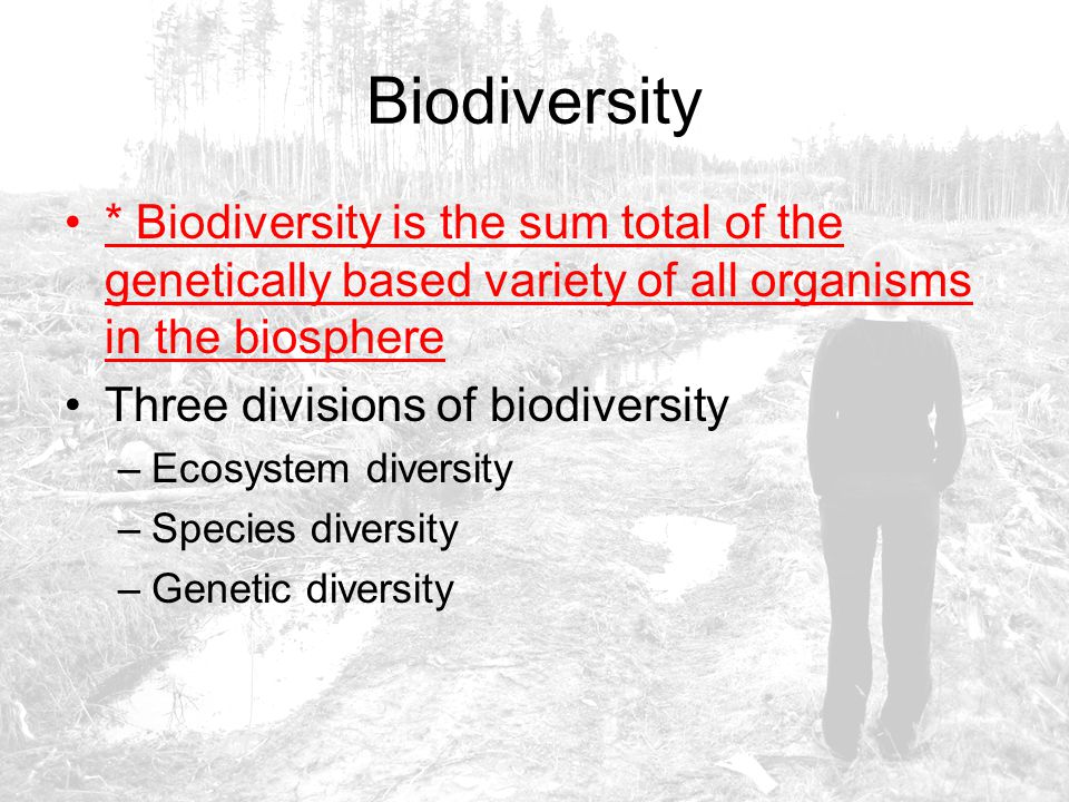 Biodiversity * Biodiversity is the sum total of the genetically based variety of all organisms in the biosphere.