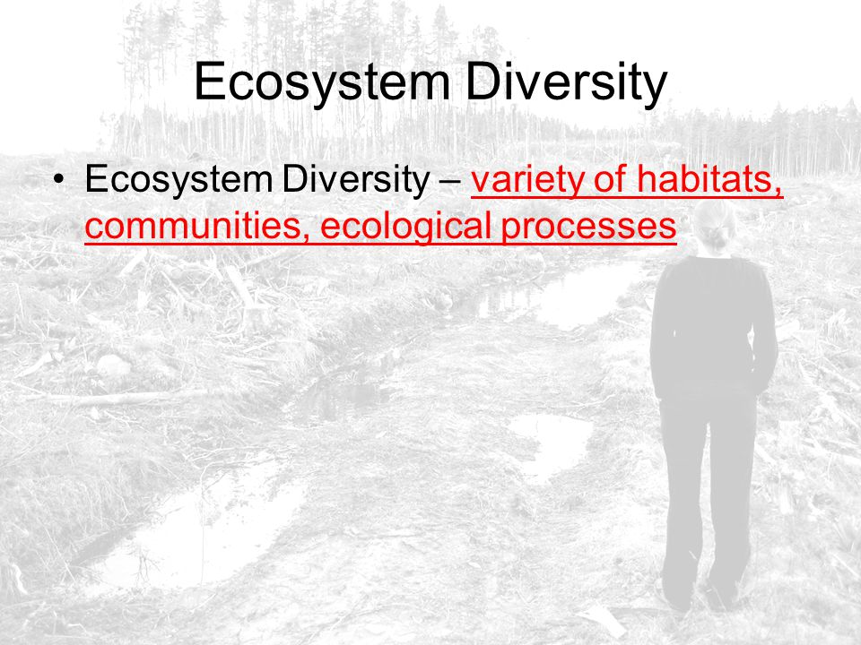 Ecosystem Diversity Ecosystem Diversity – variety of habitats, communities, ecological processes