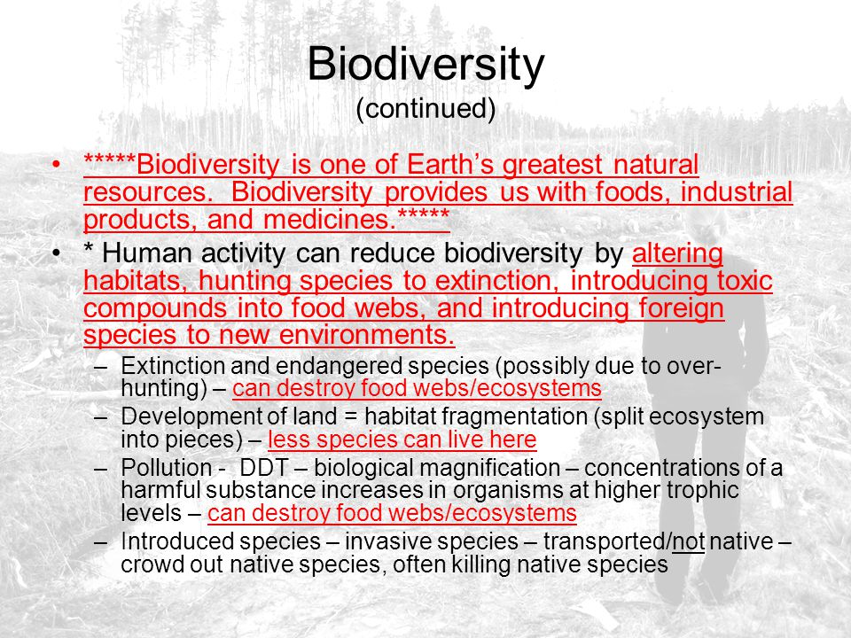 Biodiversity (continued)