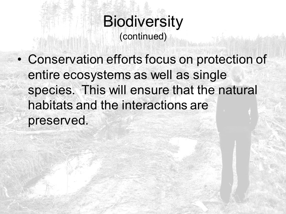 Biodiversity (continued)