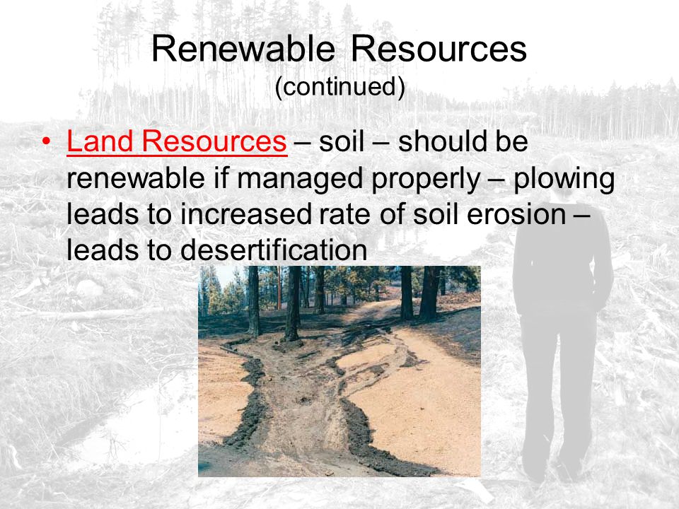 Renewable Resources (continued)