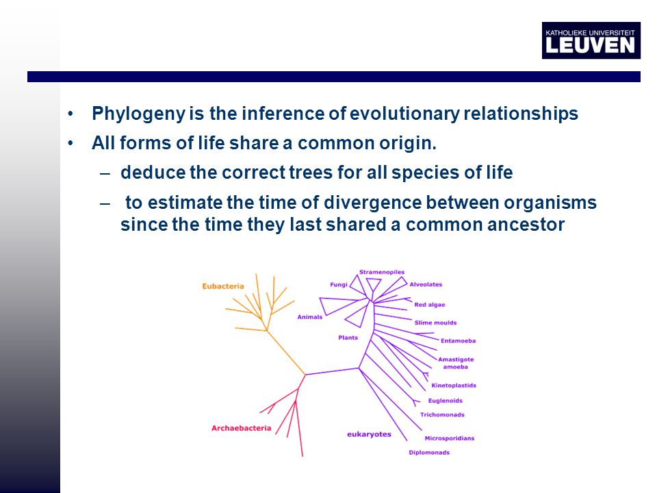 Phylogeny is the inference of evolutionary relationships