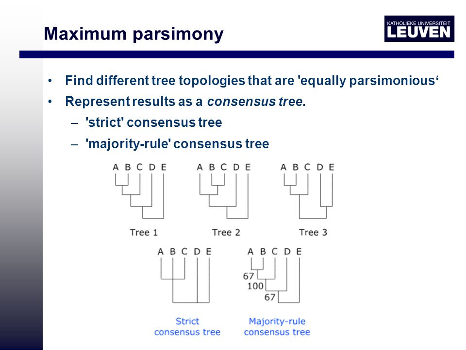 Maximum parsimony Find different tree topologies that are equally parsimonious‘ Represent results as a consensus tree.