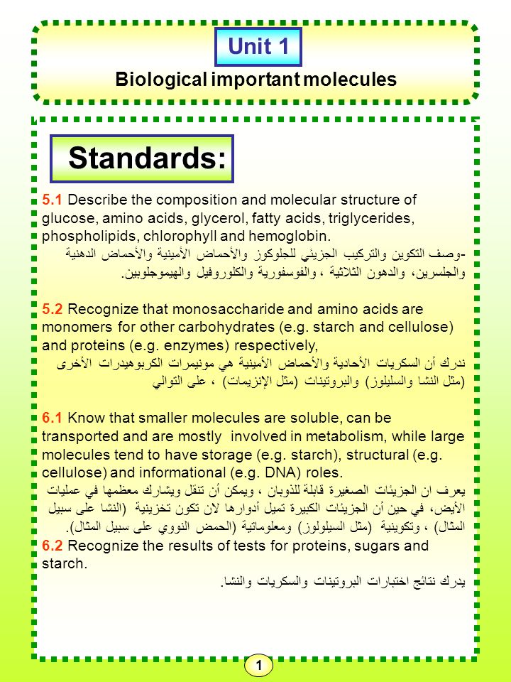 First Semester Biology Booklet Grade 10 Advanced Unit 1 Ppt Download