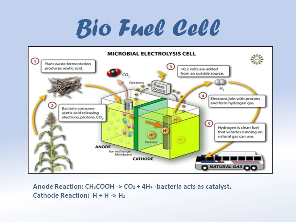 Bio Fuel Cell Anode Reaction: CH3COOH -> CO2 + 4H+ -bacteria acts as catalyst.