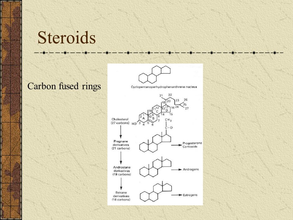 Steroids Carbon fused rings