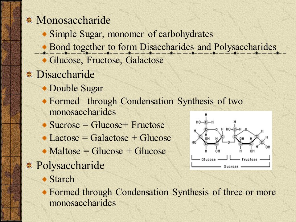 Monosaccharide Disaccharide Polysaccharide