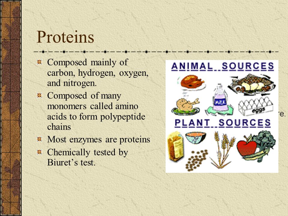 Proteins Composed mainly of carbon, hydrogen, oxygen, and nitrogen.