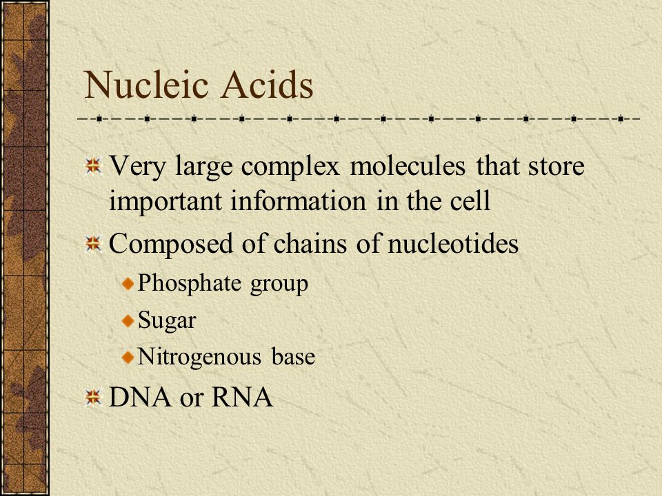Nucleic Acids Very large complex molecules that store important information in the cell. Composed of chains of nucleotides.
