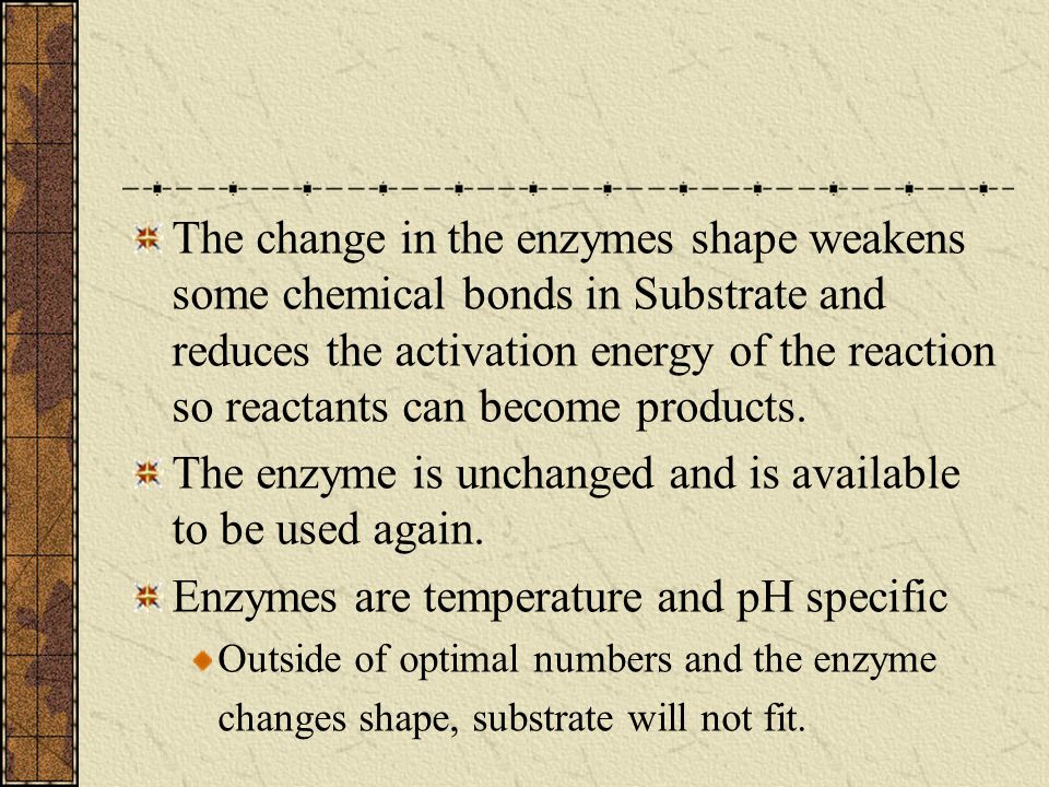 The enzyme is unchanged and is available to be used again.