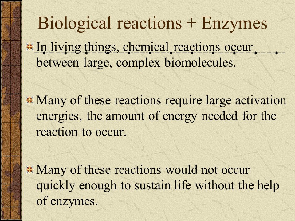 Biological reactions + Enzymes