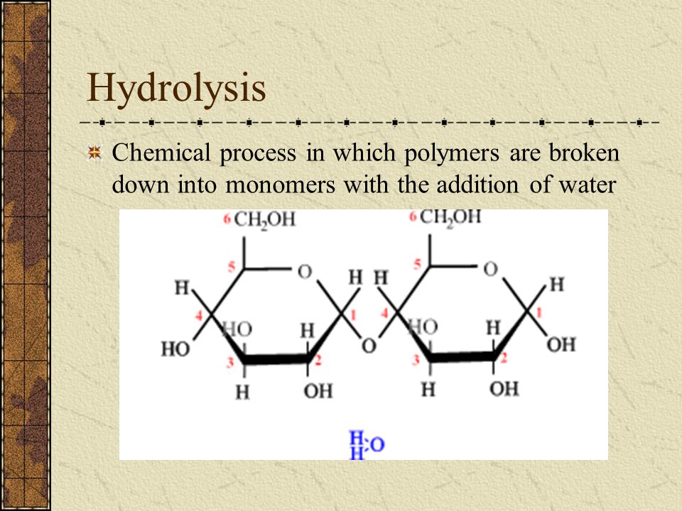 Hydrolysis Chemical process in which polymers are broken down into monomers with the addition of water.