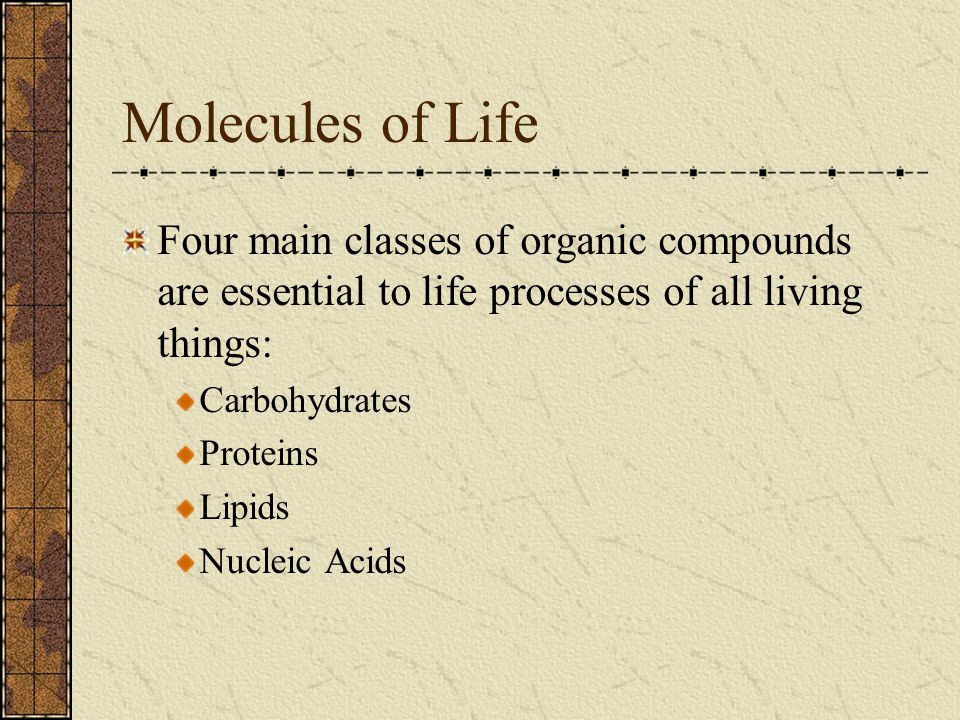 Molecules of Life Four main classes of organic compounds are essential to life processes of all living things: