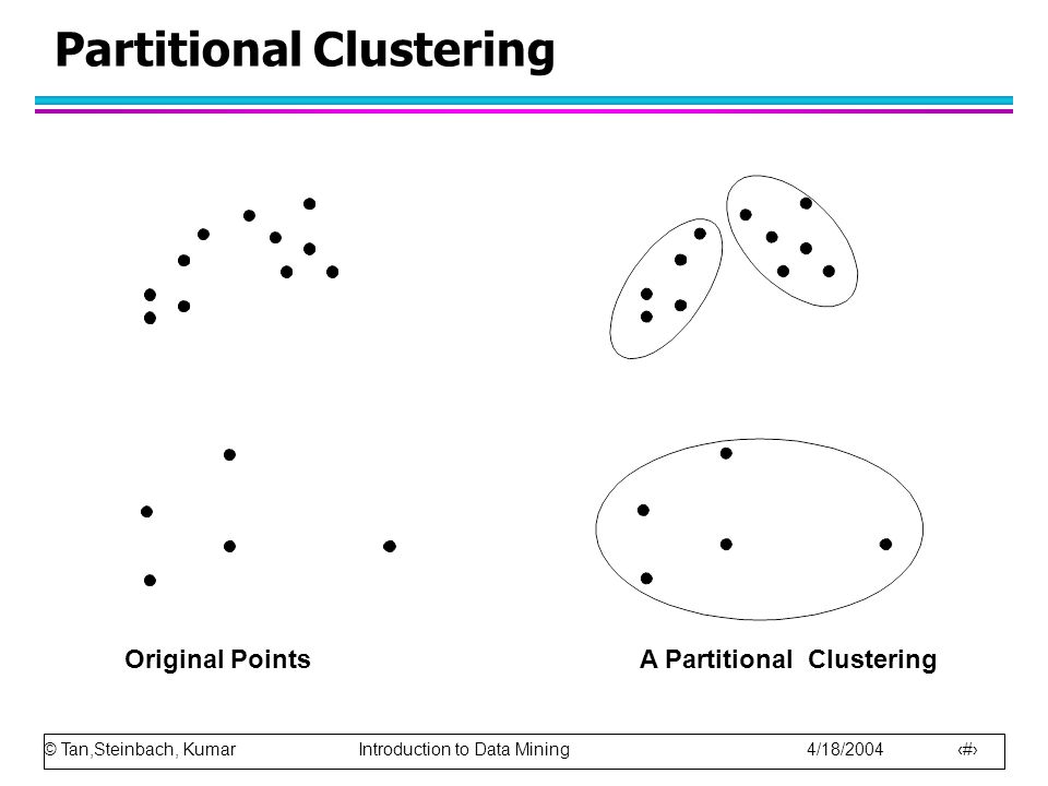 Partitional Clustering
