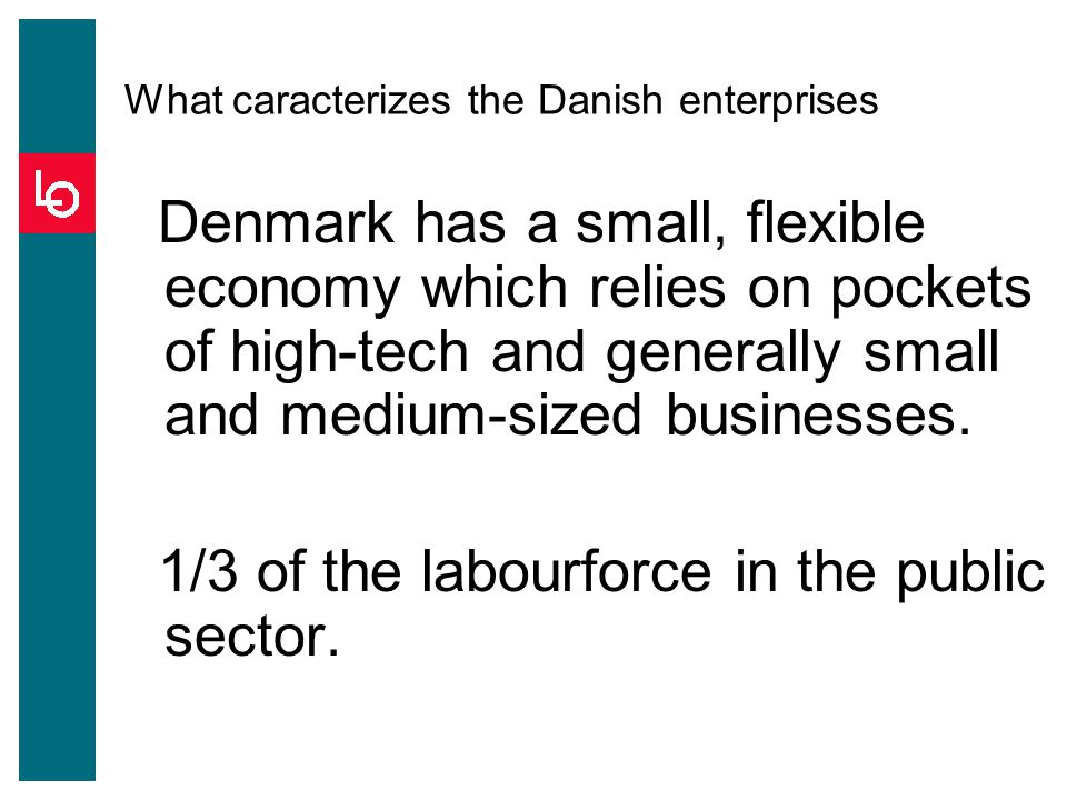 What caracterizes the Danish enterprises