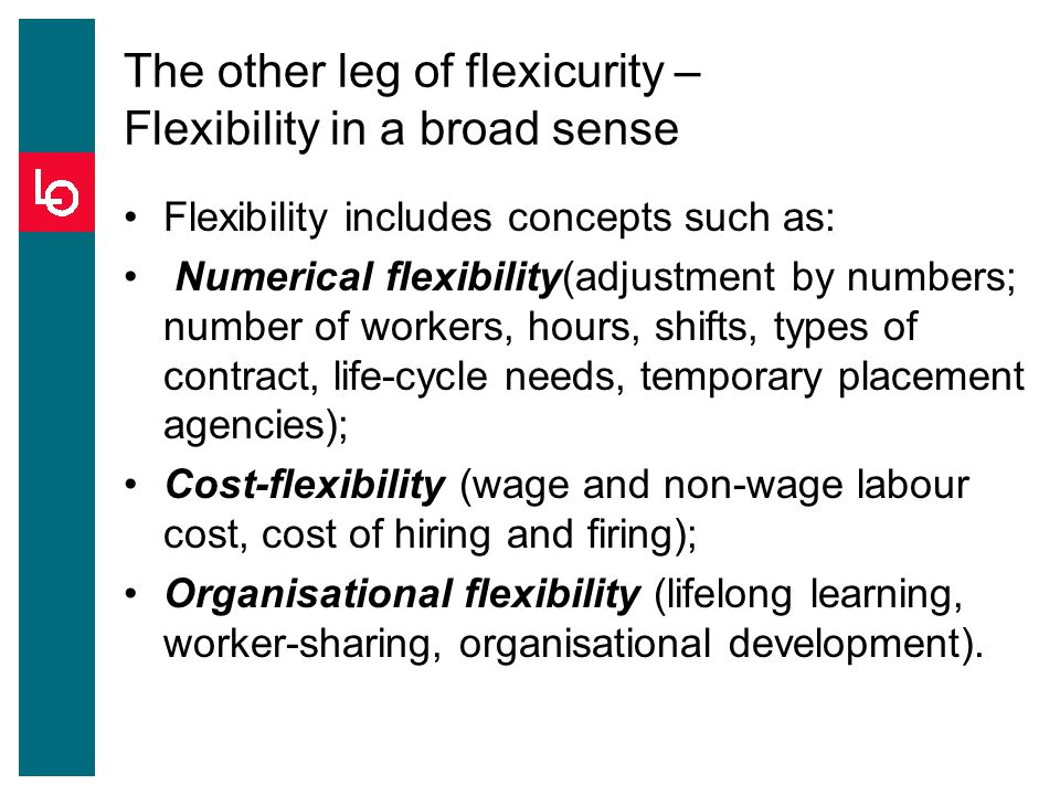 The other leg of flexicurity – Flexibility in a broad sense