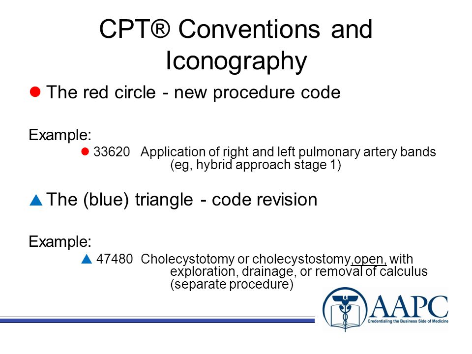 Introduction To CPT®, Surgery Guidelines, HCPCS, And Modifiers - Ppt ...