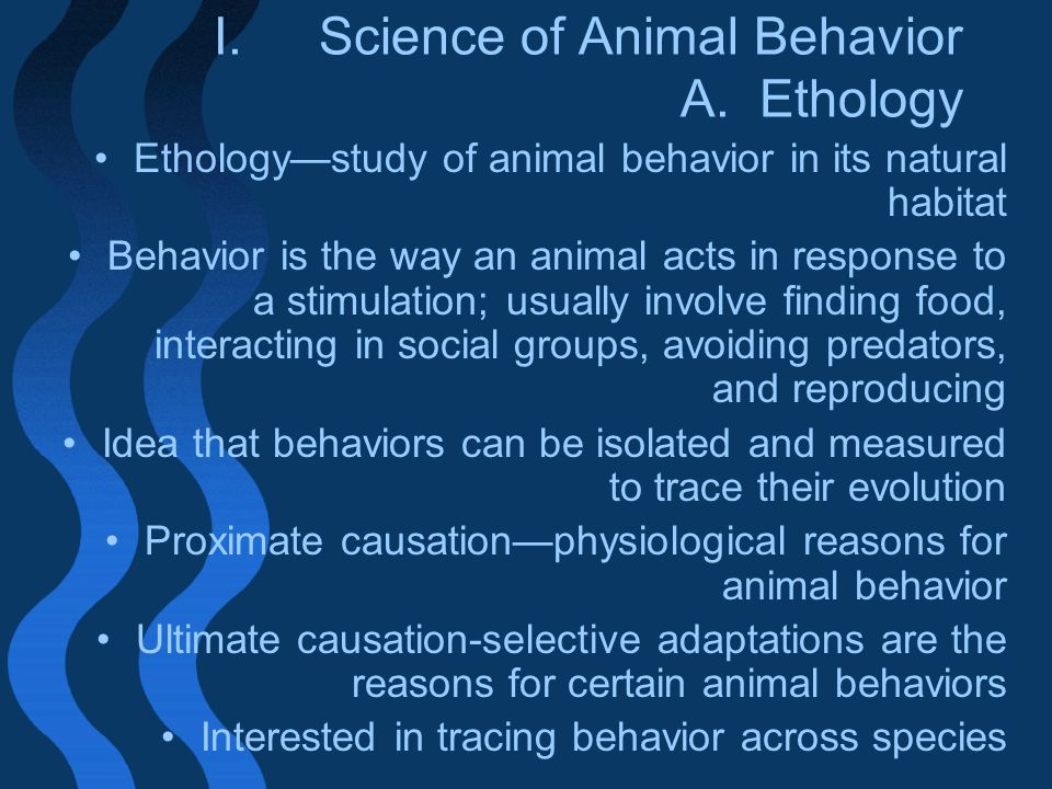 Animal Behavior Chapter ppt download