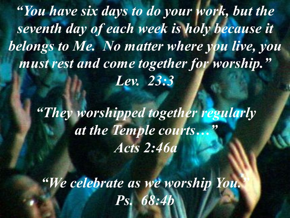 They worshipped together regularly We celebrate as we worship You.