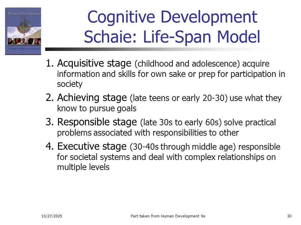 executive stage of cognitive development