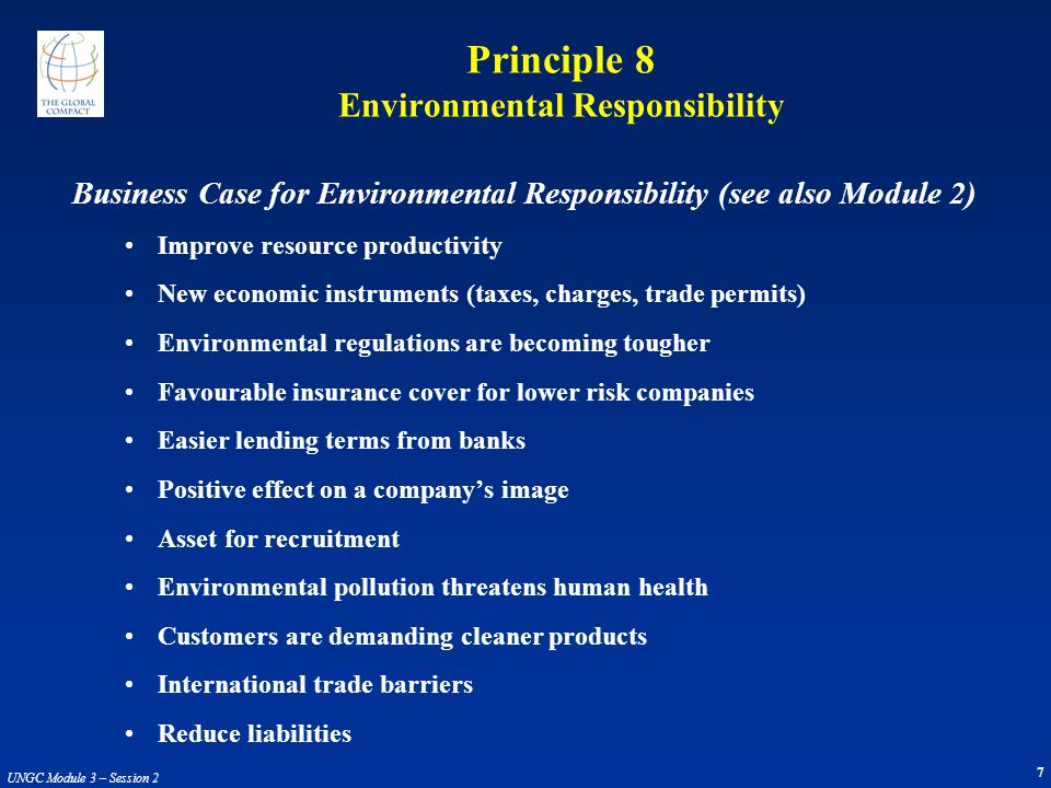 Principle 8 Environmental Responsibility