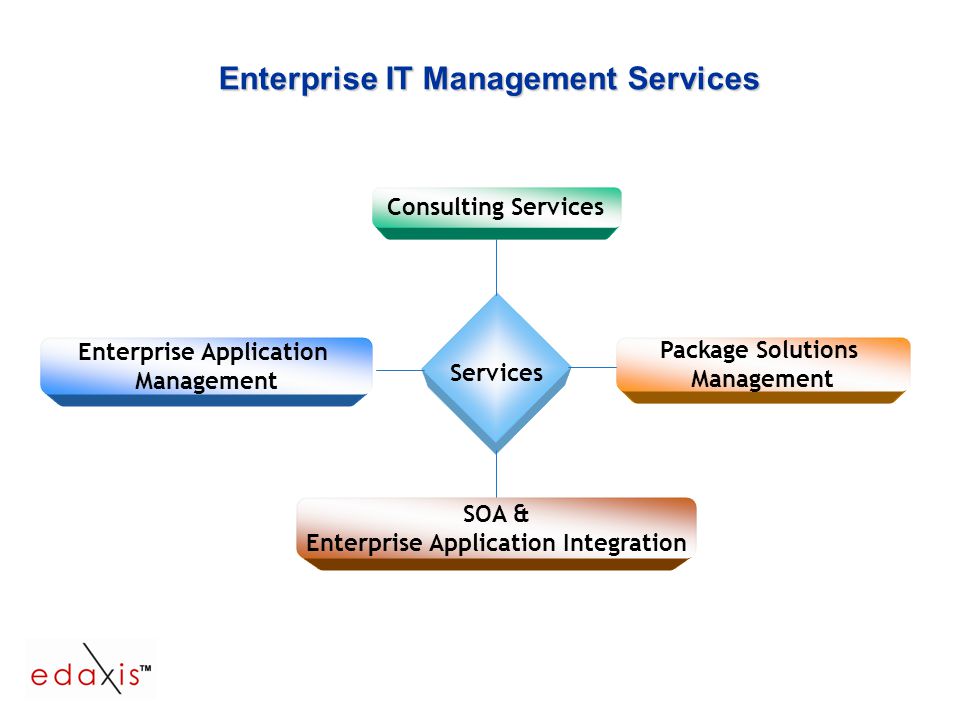 Enterprise IT Management Services