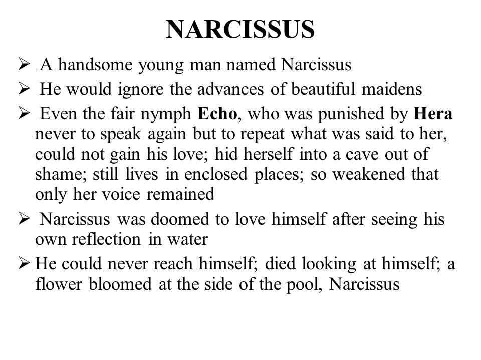 Adonis Narcissus 3