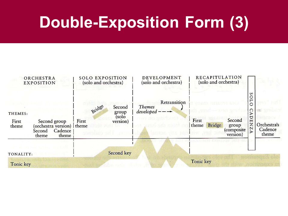 Double-Exposition Form (3)