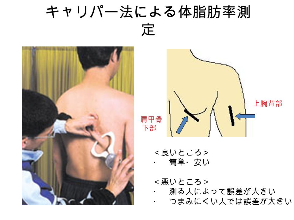 8 身体組成と肥満 Ppt Video Online Download 8 身体組成と肥満 Ppt Video Online Download