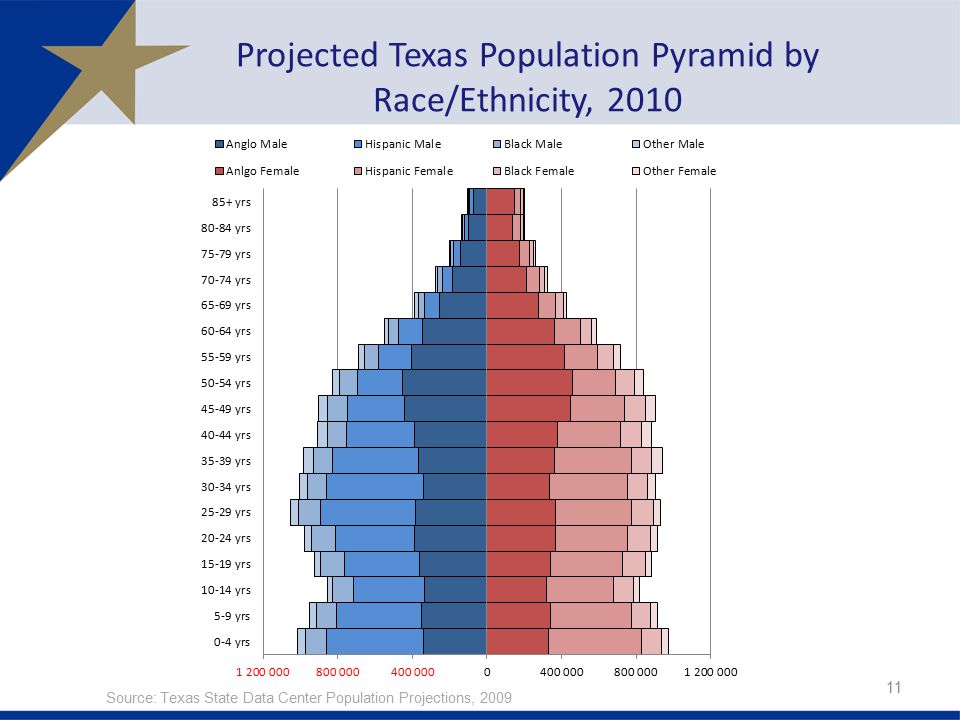 Projected Texas Population Pyramid by Race/Ethnicity, 2010
