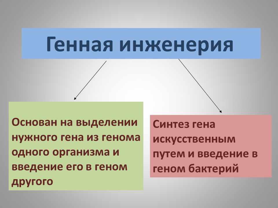Законы генной инженерии
