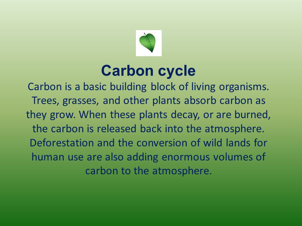 Carbon cycle Carbon is a basic building block of living organisms