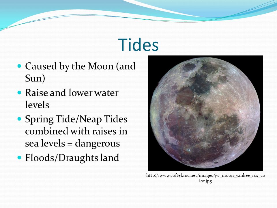 Tides Caused by the Moon (and Sun) Raise and lower water levels