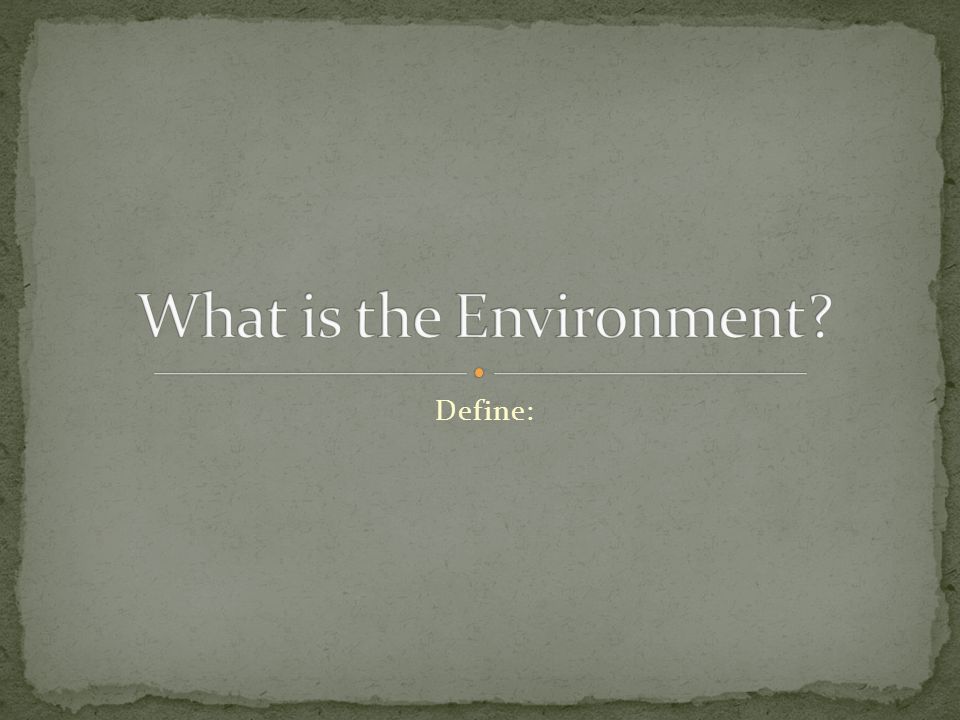 What is the Environment