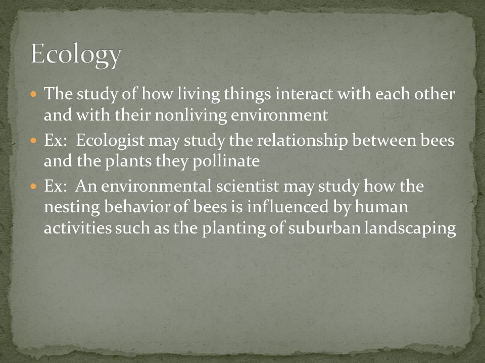 Ecology The study of how living things interact with each other and with their nonliving environment.