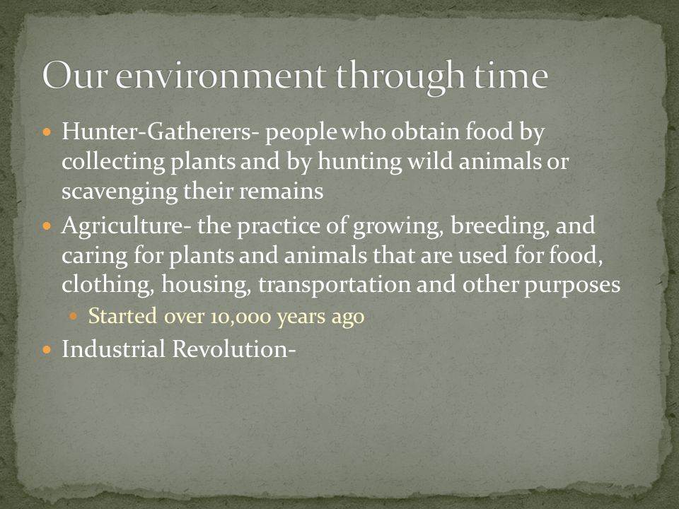 Our environment through time