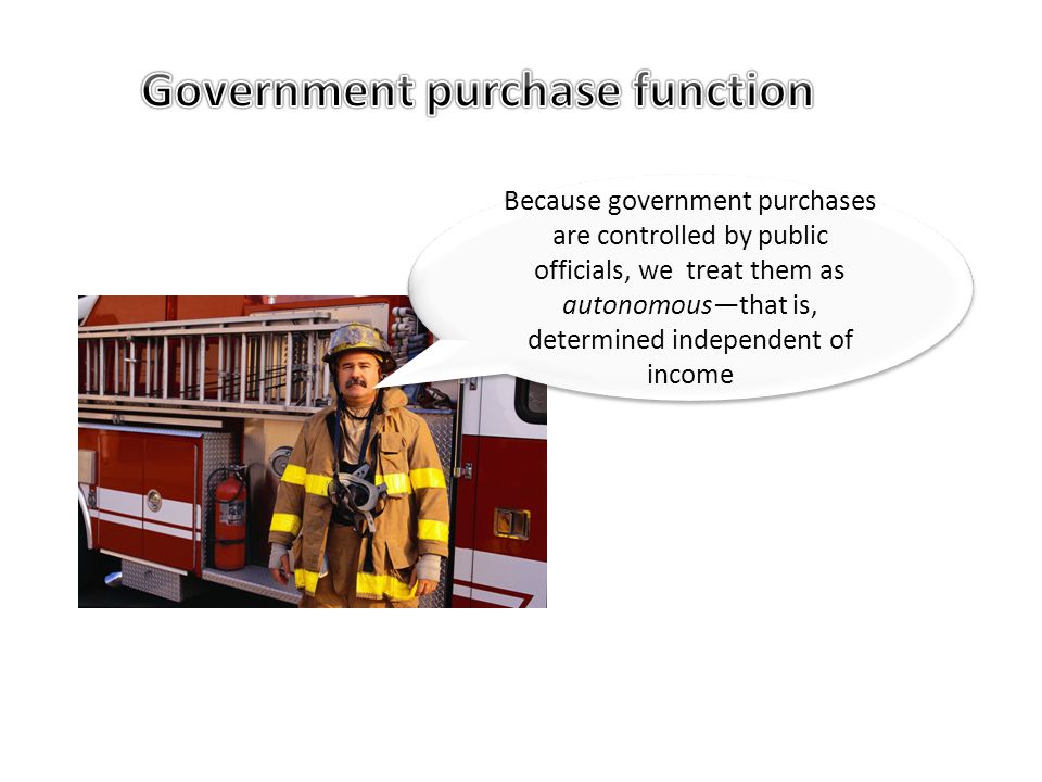Government purchase function