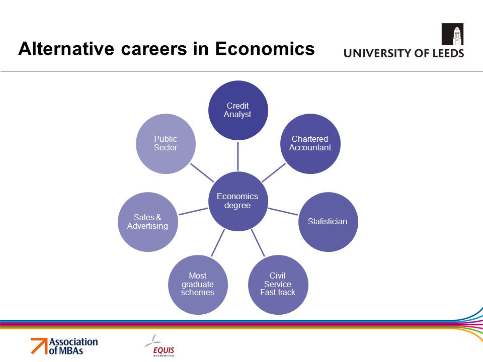 Alternative careers in Economics