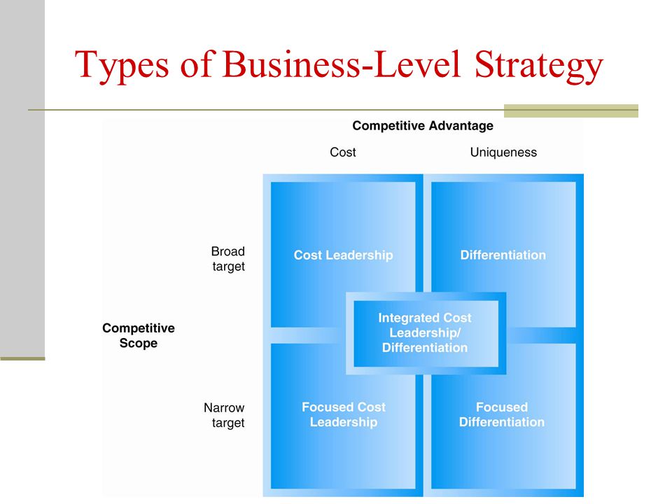 Types of Business-Level Strategy