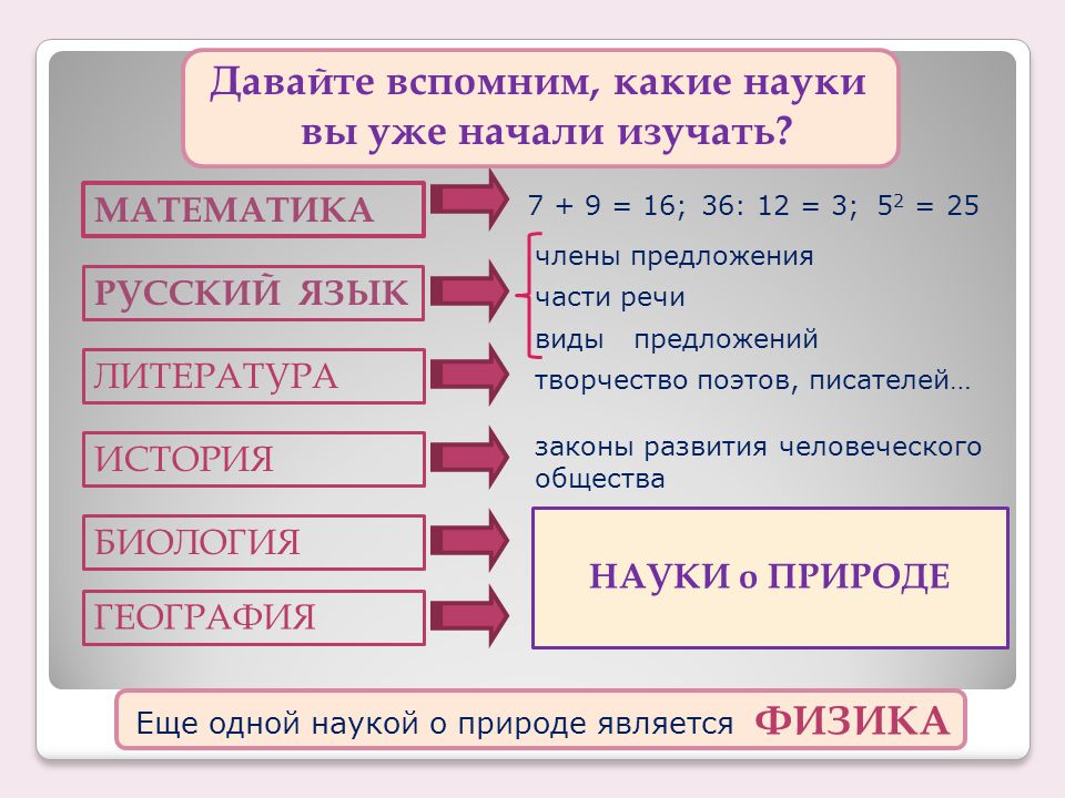 Какие науки выбрать. Какая наука изучает виды. Какие науки изучают речь. История какая наука. Какая наука изучает русский язык и литература.