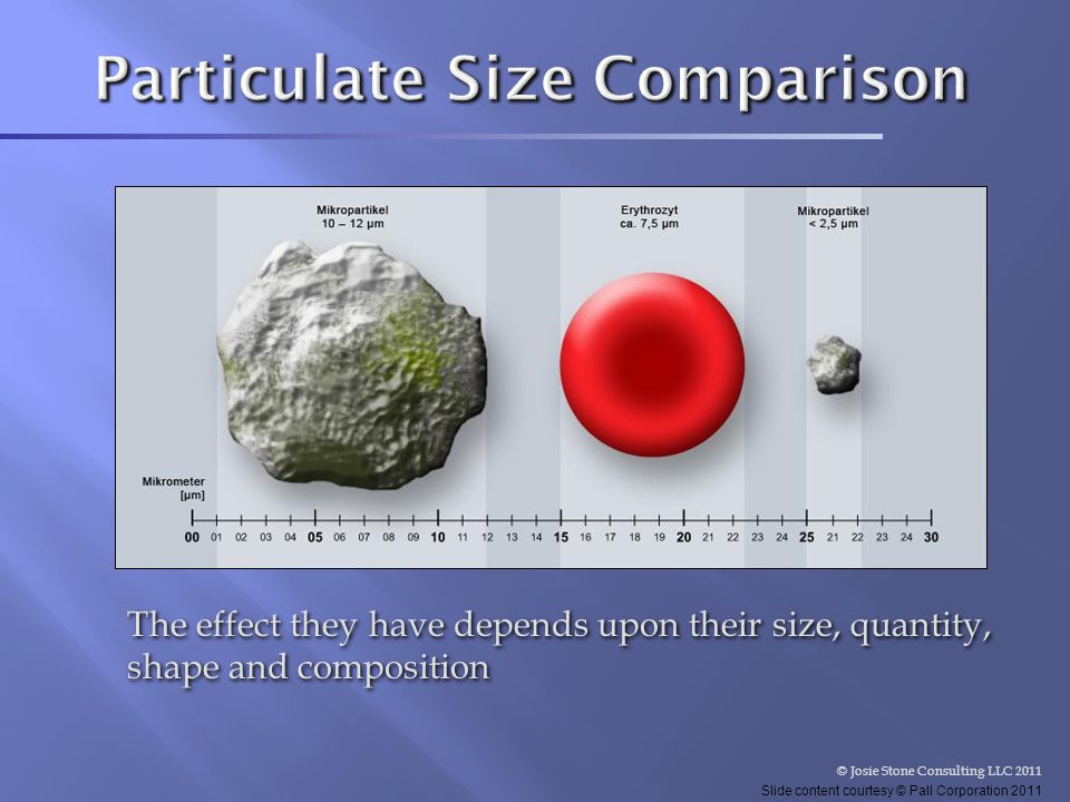 Particulate Size Comparison