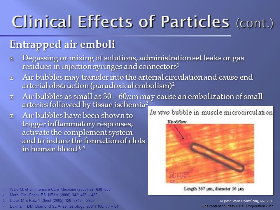 Clinical Effects of Particles (cont.)