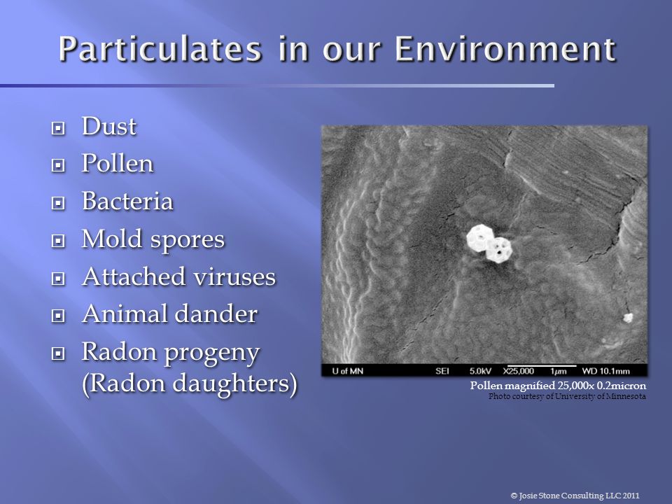 Particulates in our Environment