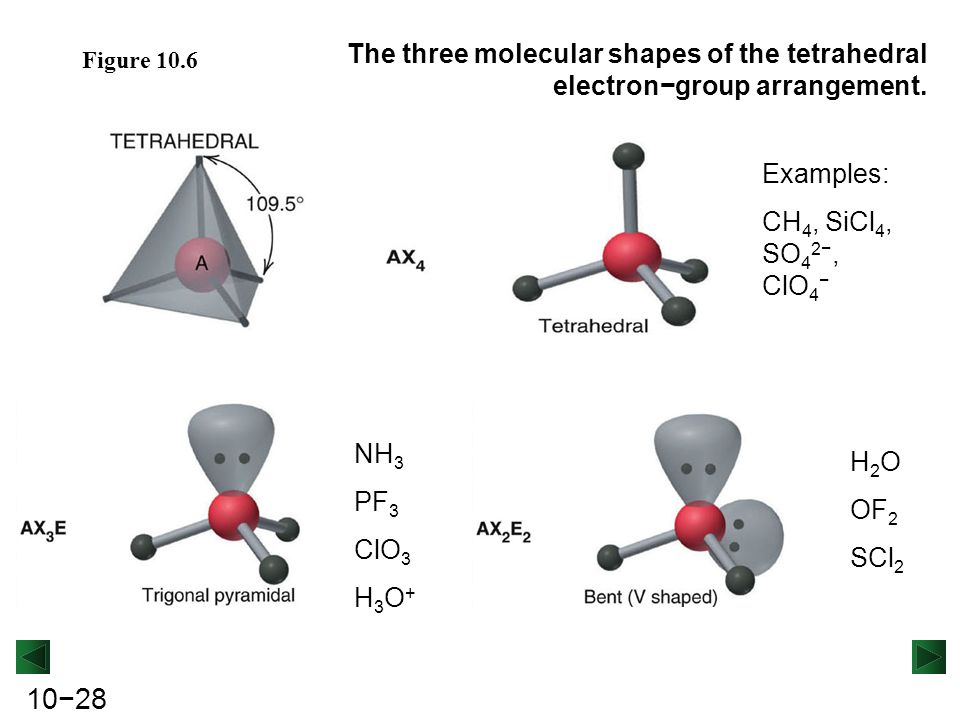 The three molecular shapes of the tetrahedral electron−group arrangement. 